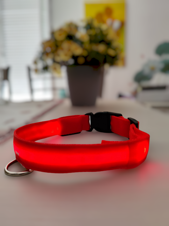 Collare LED Luminoso per Cani - immagine 2