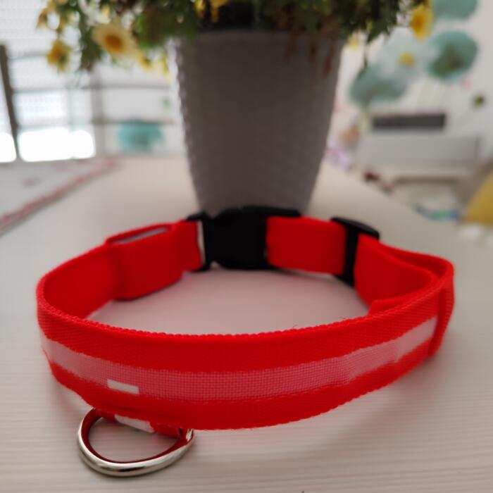 Collare LED Luminoso per Cani - immagine 3