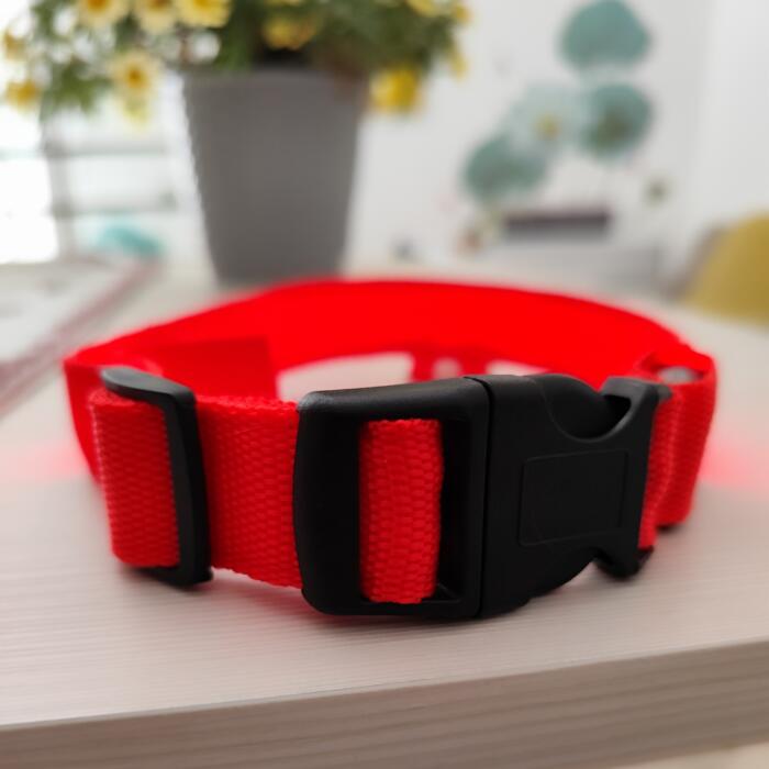 Collare LED Luminoso per Cani - immagine 5