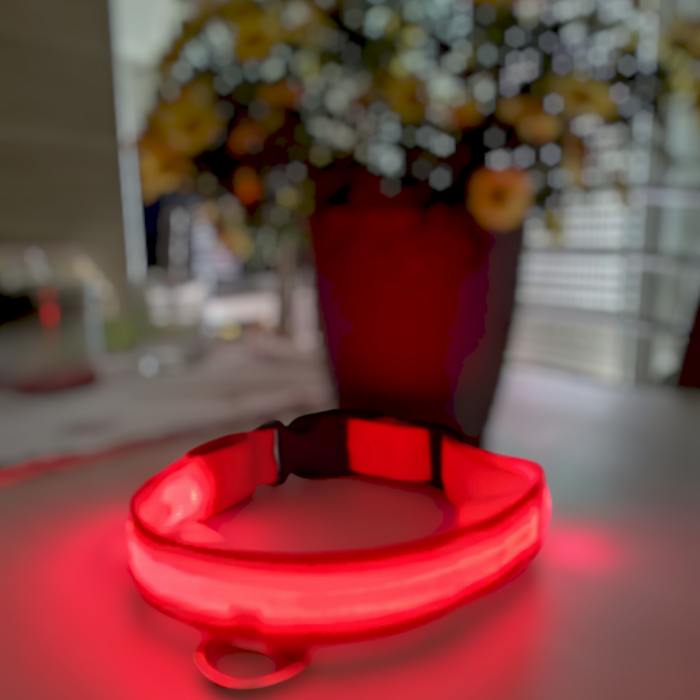 Collare LED Luminoso per Cani