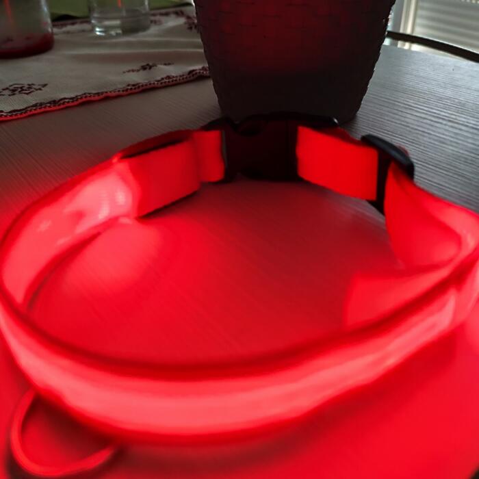 Collare LED Luminoso per Cani - immagine 4