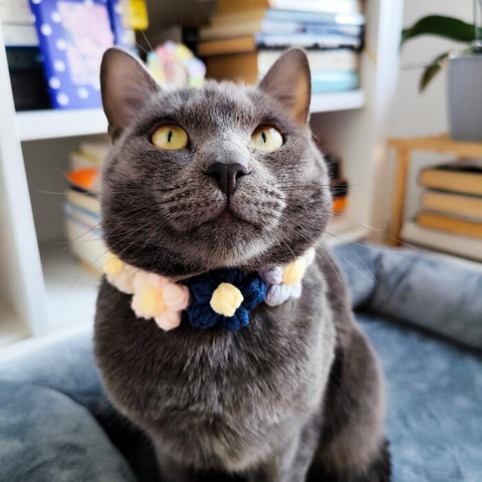Collare per gatti Handmade con Fiori (Blu) - immagine 6