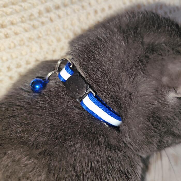 Collare  per gatti riflettente regolabile con campanellino - immagine 2