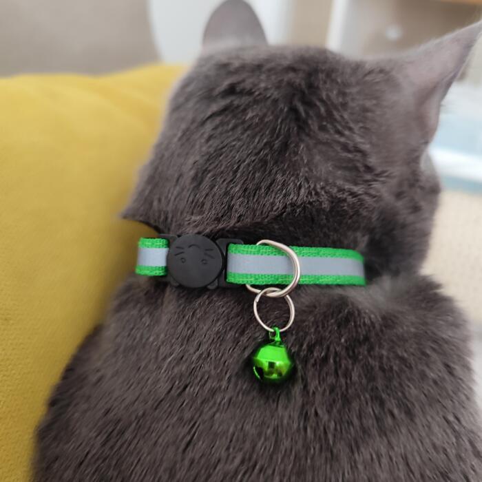 Collare  per gatti riflettente regolabile con campanellino (verde) - immagine 3